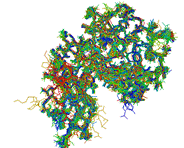 Ilyin Structural Biology